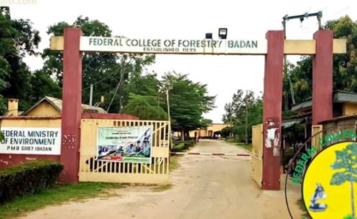 Federal College Of Forestry Shut