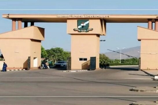 Shettima, Self-Taught ‘Engineer,’ Bags Honorary Phd From Gombe Varsity