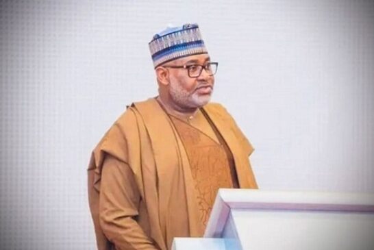 Fed Govt To Revamp Metallurgical Institute