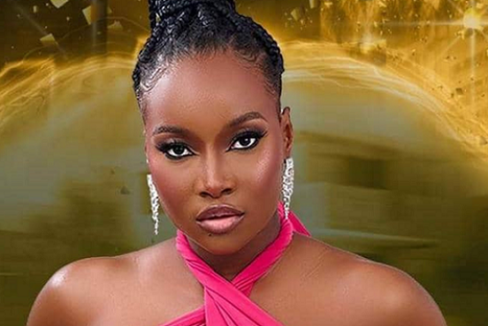 Ilebaye Wins Bbnaija All Stars Season