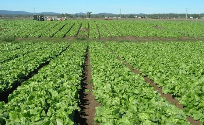 FG To Use Tertiary Institutions’ Idle Lands For Farming