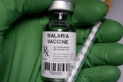 WHO Recommends Malaria Vaccine For Nigeria, Others