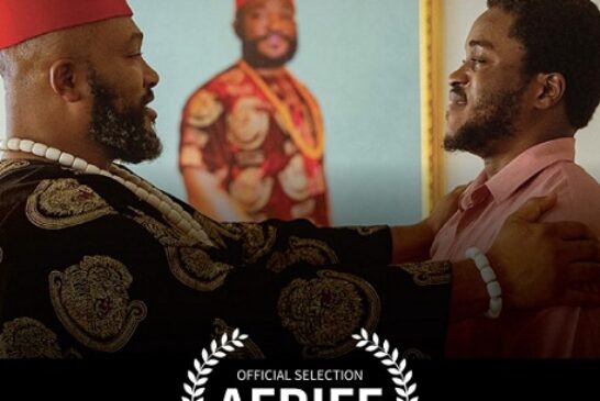 Winners Of 2023 African International Film Festival (AFRIFF) Awards