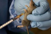 50 Health Workers Infected With Lassa Fever