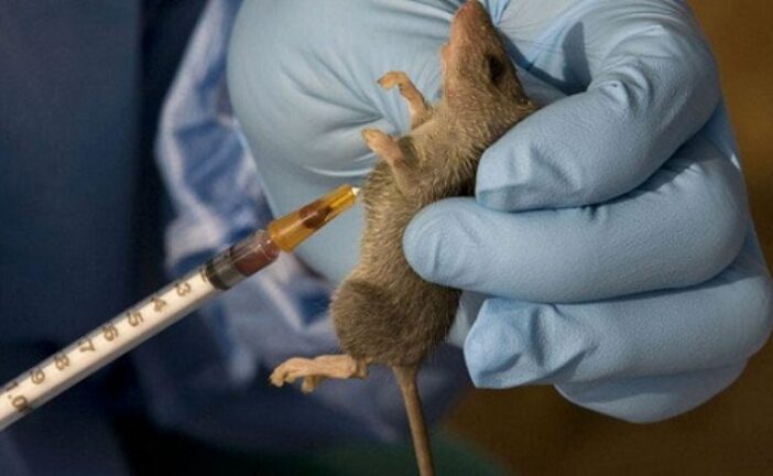 50 Health Workers Infected With Lassa Fever