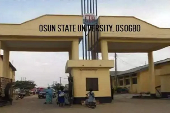 UNIOSUN VC Raises Alarm Over Decline In University Enrollment