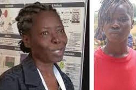 Murder Of Minna Varsity Lecturer: Housemaid Arrested By Police