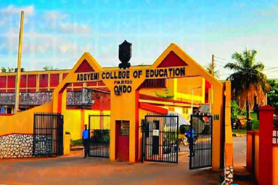 Ondo Varsity Gets New Library – Acada extra