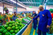 Lagos Inaugurates Agro-Produce Hub