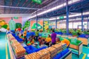 Lagos Food Hub Opens With Weekly Fair