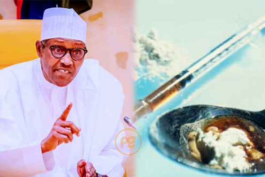 Don’t Ruin Your Future With Hard Drugs, Buhari Tells Youths