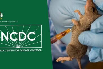 NCDC Records Surge In Lassa Fever Cases In 2023