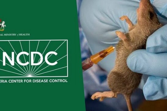 NCDC Records Surge In Lassa Fever Cases In 2023