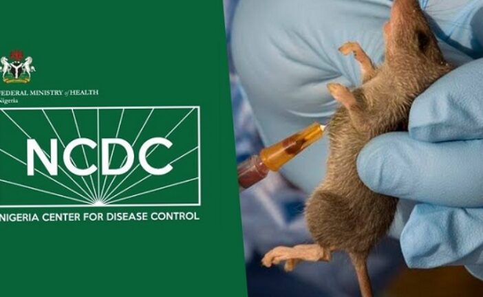 NCDC Records Surge In Lassa Fever Cases In 2023