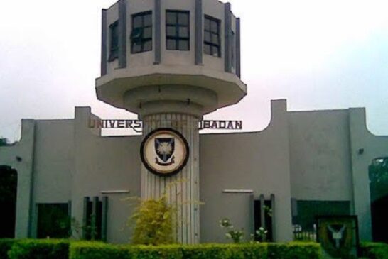 Scam Alert: ‘We’re Not Running Free Online Courses’ – University Of Ibadan Warns