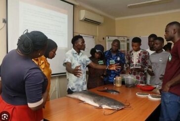 IITA Empowers 1,918 Nigerian Youths With Agribusiness Skills, Eyes 10,000 Beneficiaries