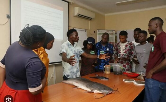 IITA Empowers 1,918 Nigerian Youths With Agribusiness Skills, Eyes 10,000 Beneficiaries