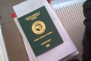 Automation Of Passport Application Begins January 8 -Minister