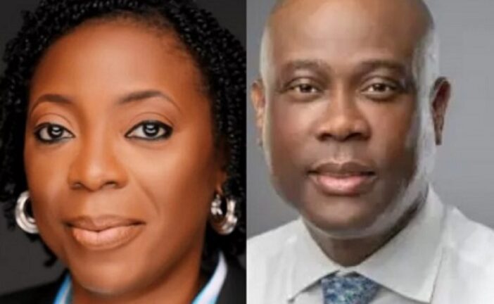 Meet Bolaji Agbede New Access Holdings Acting GCEO