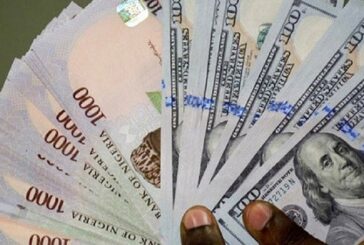 Nigerian Students Abroad Groan Over Naira Free Fall