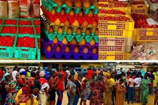 Mixed Reactions Trail Lagos Food Market
