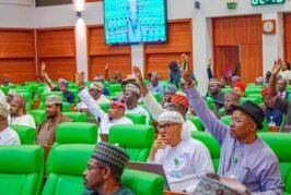 Lift Ban On Production, Sale Of Sachet Alcoholic Drinks Now, Reps Tell NAFDAC