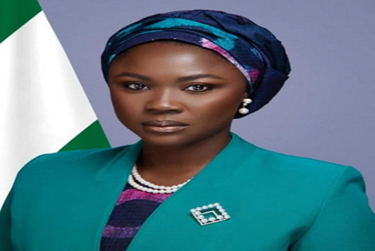 Fed Govt To Revamp 42 Youth Centres In Battle Against Unemployment