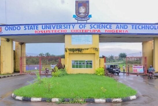Varsity Workers Disrupt Convocation, Demand N35,000 Wage Award