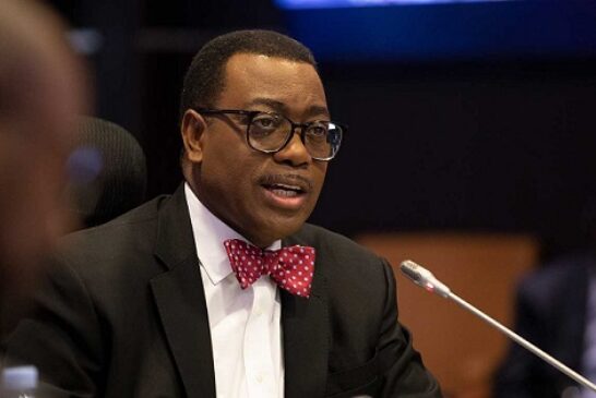 AFDB President Adesina Proposes New Name For Nigeria