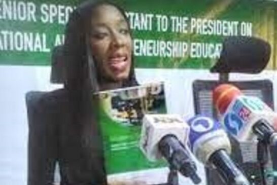 Presidency Starts Vocational Training For Inmates