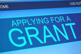 FG Unveils Presidential Conditional Grant Scheme For Nano Business