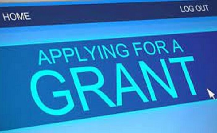 FG Unveils Presidential Conditional Grant Scheme For Nano Business