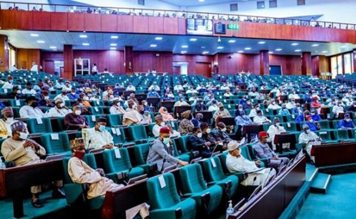 Nigerian lecturers, others detained in Cameroon seek Reps’ help to secure release