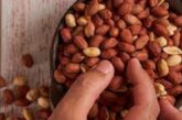 Can Eating Groundnuts Boost Your Sperm Count? What To Know