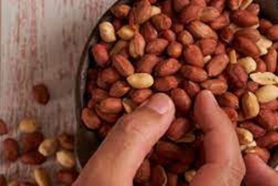 Can Eating Groundnuts Boost Your Sperm Count? What To Know