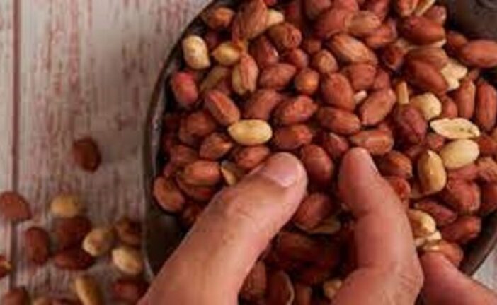 Can Eating Groundnuts Boost Your Sperm Count? What To Know