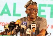 NANS Should Defend Students, Not Govts —Falana