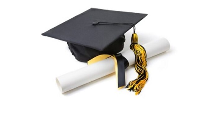 13-Year-Old UK-Based Nigerian Makes British National Chinese Competition Final