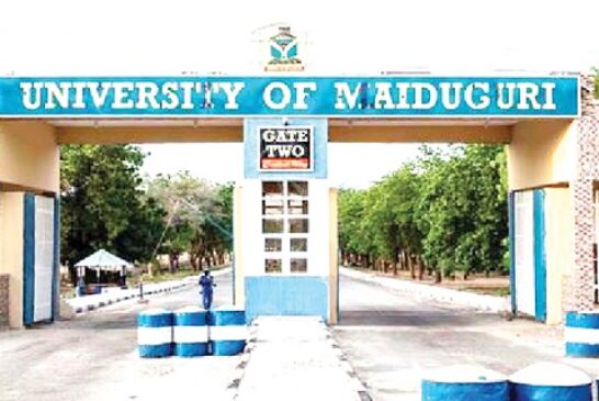 Eight Arrested As Hoodlums Kill UNIMAID Lecturer On Campus
