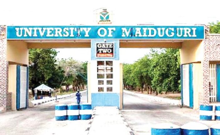 Eight Arrested As Hoodlums Kill UNIMAID Lecturer On Campus