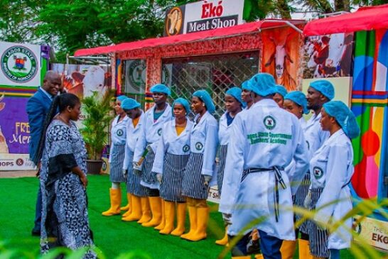 Lagos Moves To Sanitise Red Meat Value Chain
