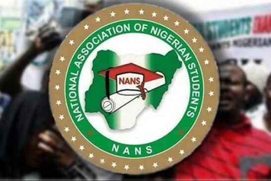 NANS Decries Killing Of Varsity Students, Urges Quick Action