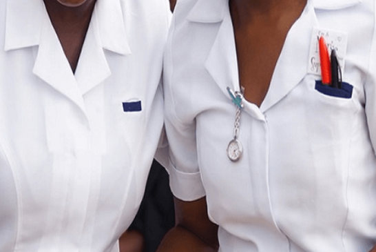 Nursing Council Of Nigeria Calls For Establishment Of Health Colleges In Rural Communities 