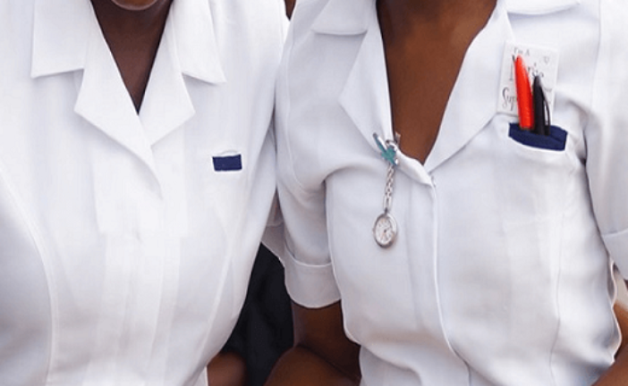 Nursing Council Of Nigeria Calls For Establishment Of Health Colleges In Rural Communities 