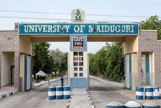 We Generate 12 MW Solar To Power Varsity, Teaching Hospital –  UNIMAID VC