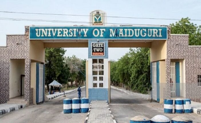 We Generate 12 MW Solar To Power Varsity, Teaching Hospital –  UNIMAID VC