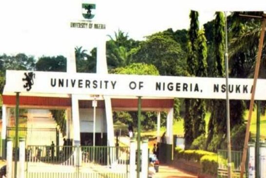 5 Academic Staff Sue UNN Over Alleged Truncation Of Governing Council Tenure