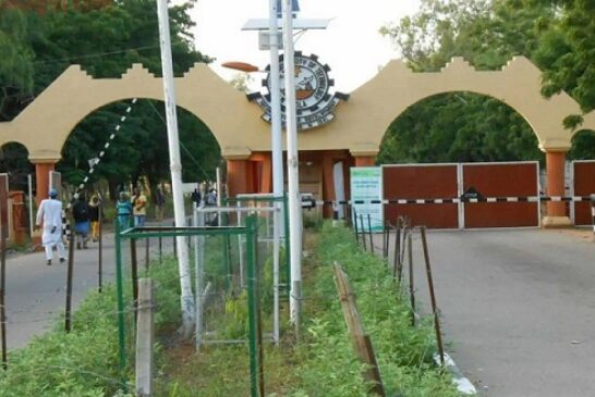 53 Out Of 5,545 Graduates Of Adamawa University Bags First Class