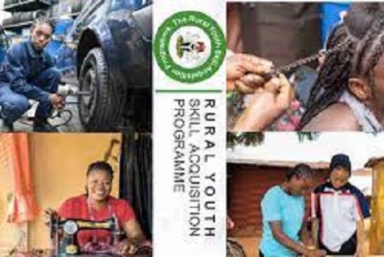 FG Begins 'School-To-Work' To Help Youths Identify Life-Long Skills Early