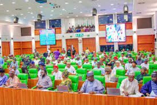 Bill To Establish Obafemi/Owode Vocational Skills University Scales Second Reading